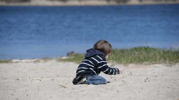 Toddler Playing Sand Beach Spring — Stock Video