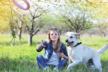 Yaz aylarında bir retriever parkta oynarken kadın