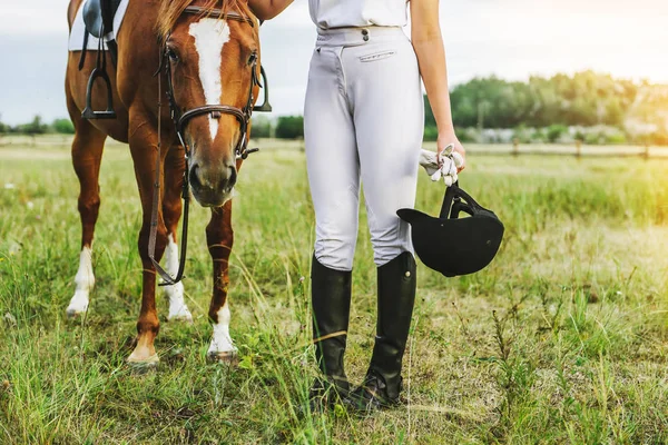 Een jonge jockey meisje staat in de buurt van haar paard — Stockfoto
