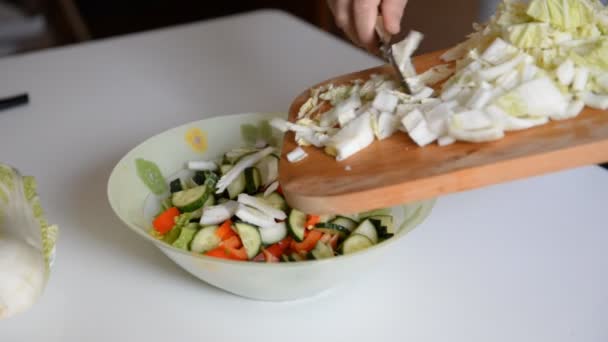 Chef Prepara Ensalada Mezcla Los Ingredientes — Vídeo de stock