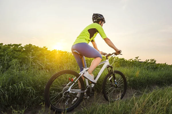 Una mujer está montando una bicicleta entre campos en el verano al atardecer — Foto de Stock