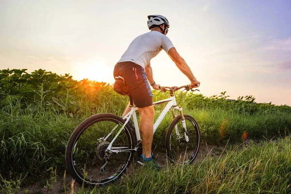 Ciclista masculino en bicicleta entre campos en verano al atardecer — Foto de Stock