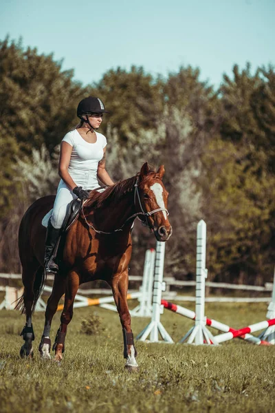 En kvinna jockey deltar i tävlingar inom hästsporten, hoppning. — Stockfoto