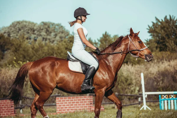 En kvinna jockey deltar i tävlingar inom hästsporten, hoppning. — Stockfoto