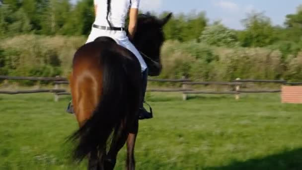 En kvinna jockey utför på hästtävlingar, hoppning på sin häst. — Stockvideo