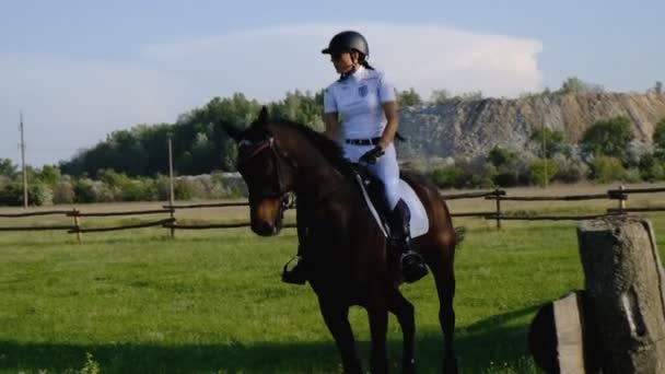 Una mujer jinete realiza en competiciones ecuestres, saltando sobre su caballo . — Vídeos de Stock