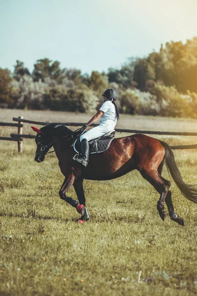 A woman jockey participates in competitions in equestrian sports, jumping.