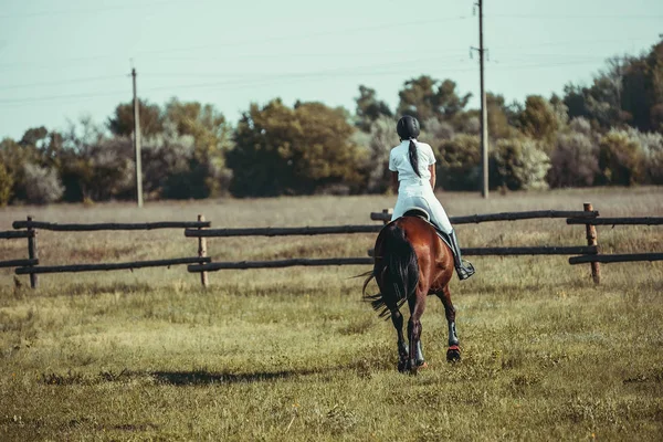 Una donna fantino partecipa a competizioni in sport equestri, saltando . — Foto Stock