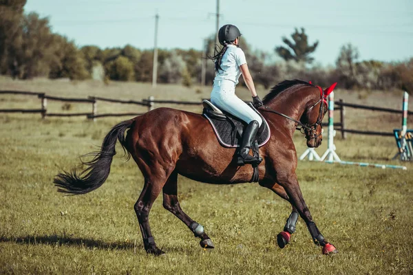 Een vrouw jockey deelneemt aan wedstrijden in de Paardensport, springconcours. — Stockfoto