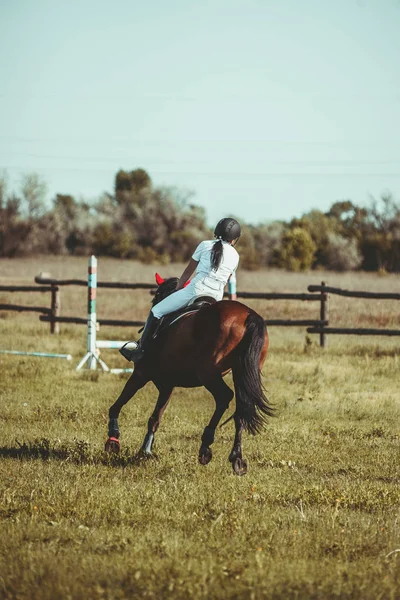 Una mujer jinete participa en competiciones en deportes ecuestres, saltando . —  Fotos de Stock