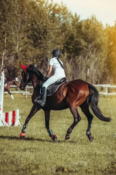 En kvinna jockey deltar i tävlingar i Hästsport, hoppning. — Stockfoto