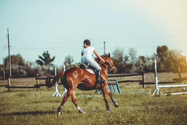A nő zsoké részt vesz versenyeken a lovassport, ugrás. — Stock Fotó