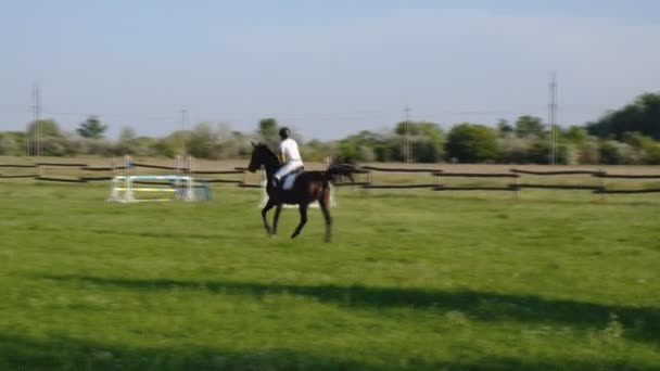Uma Mulher Salta Sobre Barreiras Cavalo Uma Competição Salto — Vídeo de Stock