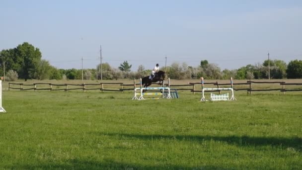 Een Vrouwelijke Jockey Springt Slagbomen Een Paard Een Springwedstrijd — Stockvideo