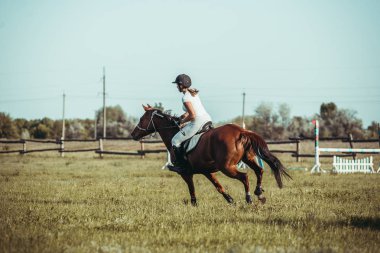 Bir kadın jokey, atlı spor, yarışmalarda atlama yer aldığı.
