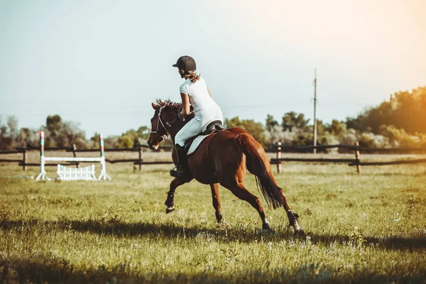 Una Mujer Jinete Participa Competiciones Deporte Ecuestre Saltando — Foto de Stock