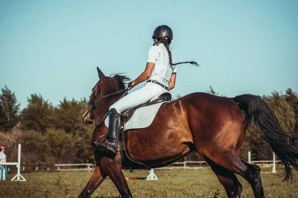 Uma mulher jóquei participa em competições no esporte equestre, saltando . — Fotografia de Stock