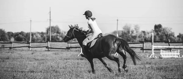Kvinna Jockey Deltar Tävlingar Inom Hästsporten Hoppning — Stockfoto
