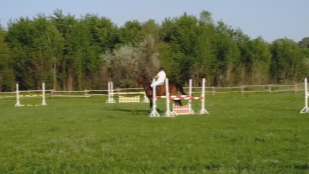 Ein Männlicher Jockey Reitet Auf Einem Pferd Einem Springwettbewerb — Stockvideo