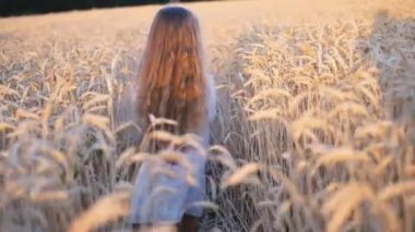 Küçük sarışın kız yazın buğday tarlasında koşar..