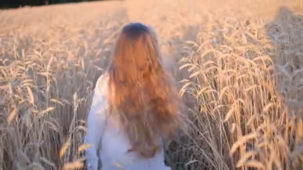 Menina loira corre em um campo de trigo no verão . — Vídeo de Stock