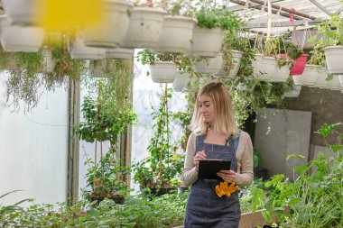 Genç bir kadın bahçıvan bir serada çiçeklerin kaydını tutar..