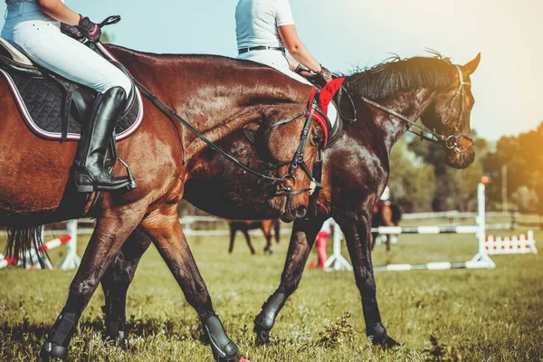 Las mujeres jinetes compiten en sus caballos. Jinetes entrenan a caballo . — Foto de Stock