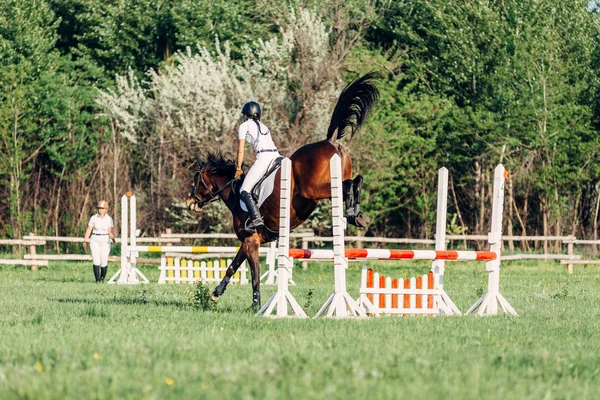 En kvinna jockey hoppar en barriär på en häst i sommar tävlingar. — Stockfoto