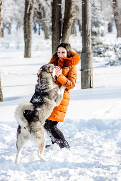 Ragazza che gioca con un cane nel parco in inverno . — Foto Stock