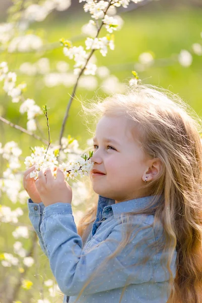 Pouco bonito menina loira com cabelos longos fareja um ramo de árvore de floração no parque na primavera. — Fotografia de Stock