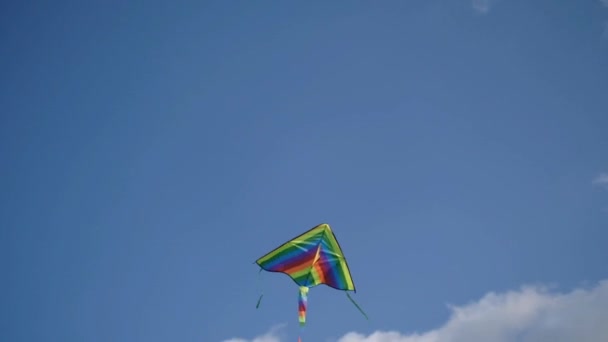 A multi-colored kite flies in the summer sky in a park. — Stok video