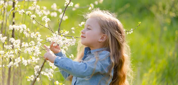 Pouco bonito menina loira com cabelos longos fareja um ramo de árvore de floração no parque na primavera. — Fotografia de Stock