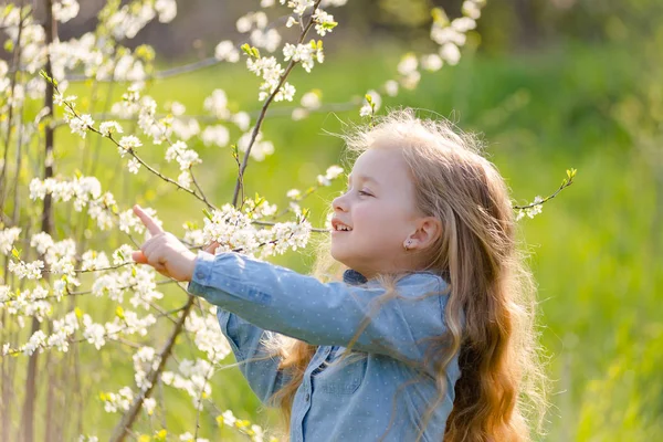 Pouco bonito menina loira com cabelos longos fareja um ramo de árvore de floração no parque na primavera. — Fotografia de Stock