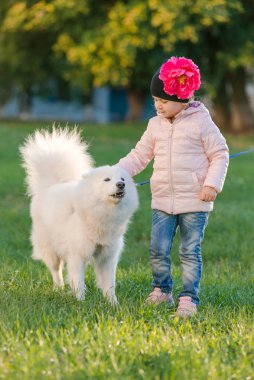 küçük kız köpeğini Samoyed Park ile yürüyor