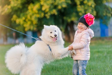küçük kız köpeğini Samoyed Park ile yürüyor