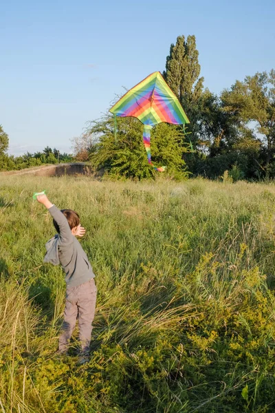 Muž spustí draka v letním parku. — Stock fotografie