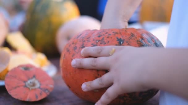 Preparing for the holiday Halloween. Cutting a pumpkin with a knife. — Stock Video