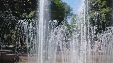 Çeşmenin fıskiyeleri yükseliyor. Sprey fıskiyesi yazın parkta uçuşuyor..