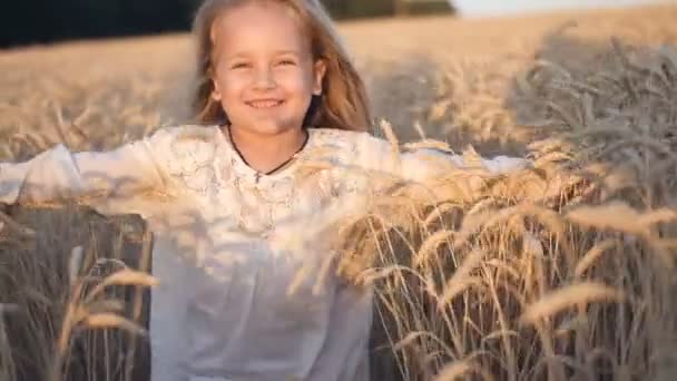 Little blonde girl runs in a wheat field with arms spread. — Stock Video
