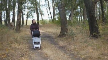 Genç bir anne bebek arabasında uyuyan bir bebekle parkta yürüyor..