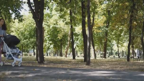 Een jonge moeder loopt in het park met een slapende baby in een kinderwagen. — Stockvideo