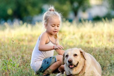 Küçük kız yaz parkında Labrador 'la oynuyor..