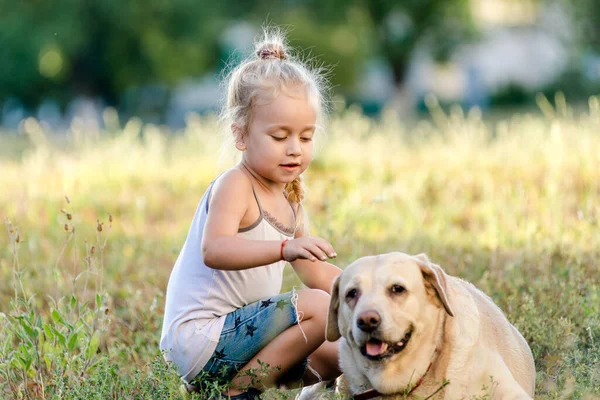 Niña Está Jugando Con Labrador Parque Verano — Foto de Stock