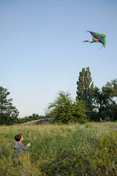 Kleiner Junge Lässt Sommerpark Einen Drachen Steigen — Stockfoto