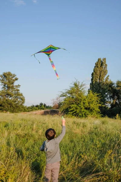 Malý Chlapec Spustí Draka Letním Parku — Stock fotografie