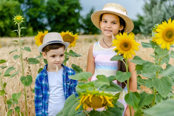 Menina Com Menino Chapéu Ficar Campo Perto Girassóis Noite Verão — Fotografia de Stock