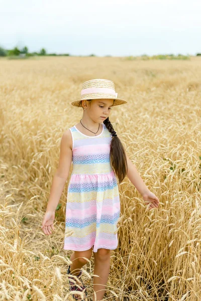 一个戴着草帽的小女孩走在麦田上 用手抚摩麦穗 — 图库照片