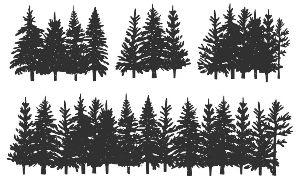 云杉的轮廓 冬季森林 矢量图形 Eps — 图库矢量图片