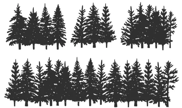 Silhouettes Épicéa Forêt Hiver Graphiques Vectoriels Eps — Image vectorielle