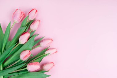 Pembe arka plan kopyalama boşluğunda pembe laleler